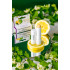 Organic Lemon Fresh Lipstick - 5,3 g